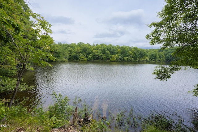 657 Lakeview Dr, Stem, NC 27581 - water view with a forest
