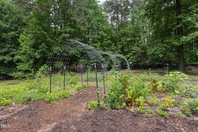 657 Lakeview Dr, Stem, NC 27581 - view of yard featuring a garden