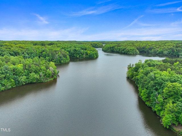 657 Lakeview Dr, Stem, NC 27581 - drone / aerial view of a heavily wooded area and a large body of water