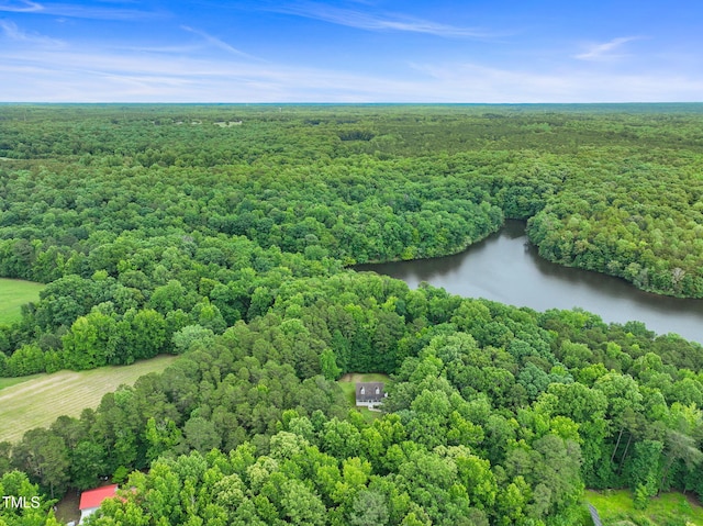657 Lakeview Dr, Stem, NC 27581 - aerial view of a heavily wooded area and a nearby body of water