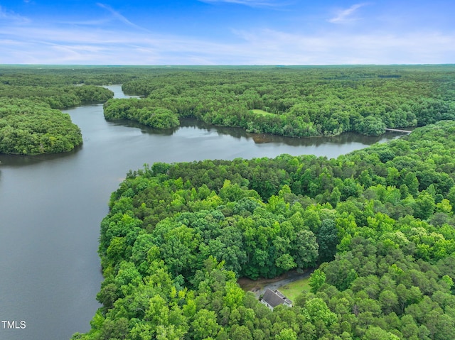 657 Lakeview Dr, Stem, NC 27581 - aerial view of a forest and a large body of water