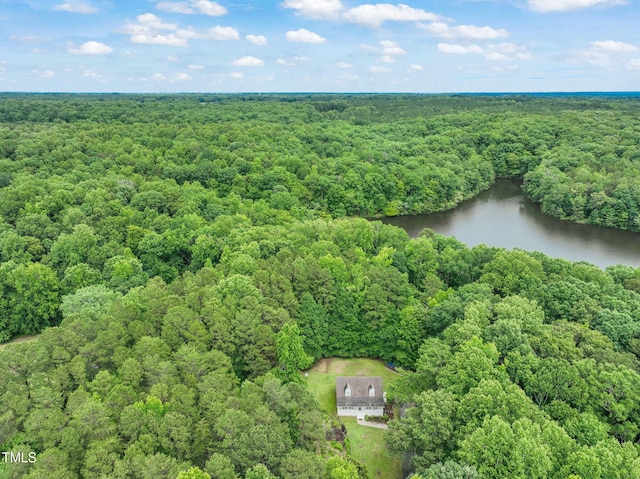 657 Lakeview Dr, Stem, NC 27581 - bird's eye view of a forest and a nearby body of water