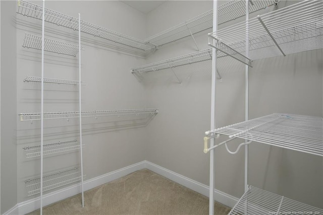 45 Remington Hills Dr, Bunnlevel, NC 28323 - walk in closet with carpet flooring