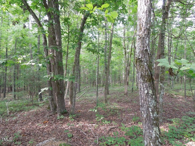 0 Webb Chapel Rd, Oxford, NC 27565