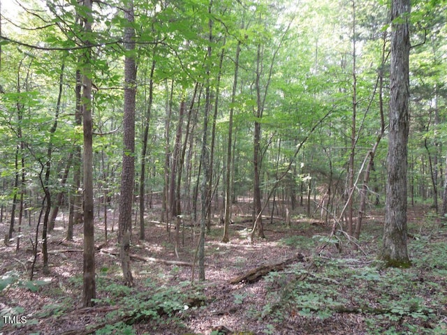 0 Webb Chapel Rd, Oxford, NC 27565