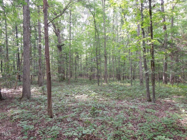 0 Webb Chapel Rd, Oxford, NC 27565