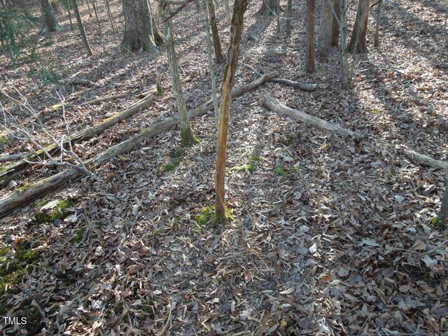 0 Webb Chapel Rd, Oxford, NC 27565