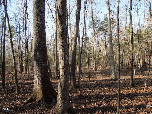 0 Webb Chapel Rd, Oxford, NC 27565