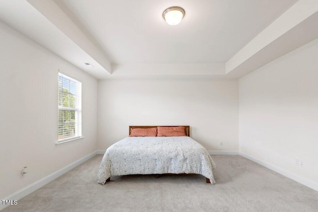 116 Hayfield Dr, Lillington, NC 27546 - bedroom with a raised ceiling, carpet flooring, and baseboards