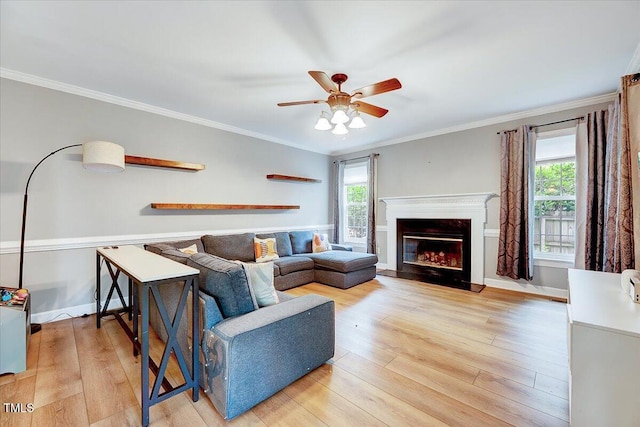 113 Fetzer Ct, Cary, NC 27513 - living room featuring light wood finished floors, ornamental molding, ceiling fan, a glass covered fireplace, and baseboards