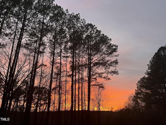 118 Setter Pt, Clayton, NC 27520 - view of nature at dusk