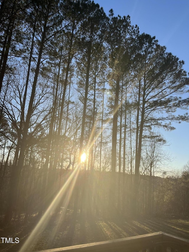 118 Setter Pt, Clayton, NC 27520 - view of street