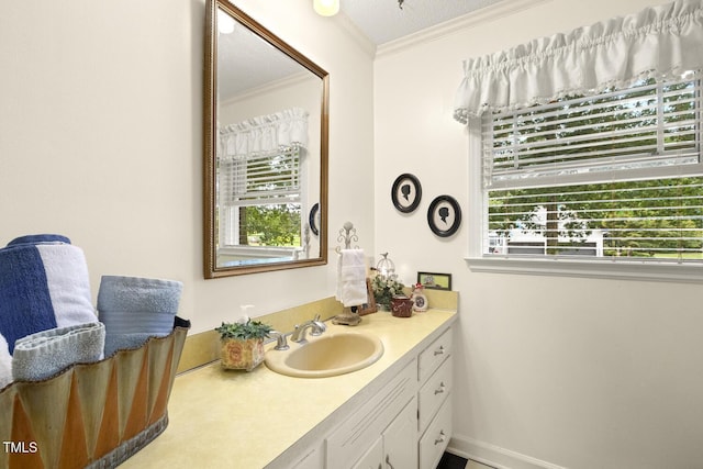 6517 Whitted Rd, Fuquay Varina, NC 27526 - bathroom featuring ornamental molding, plenty of natural light, and vanity