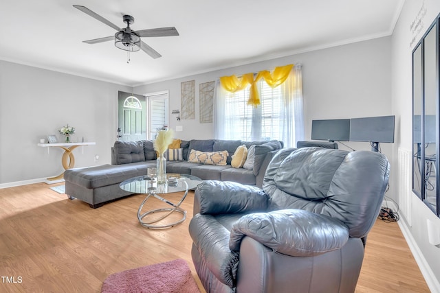 144 Shawnee Dr, Louisburg, NC 27549 - living area with a ceiling fan, crown molding, light wood-type flooring, and baseboards