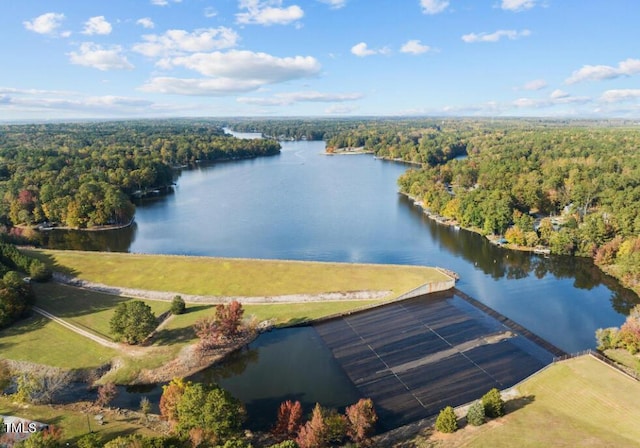 144 Shawnee Dr, Louisburg, NC 27549 - bird's eye view of a forest and a nearby body of water