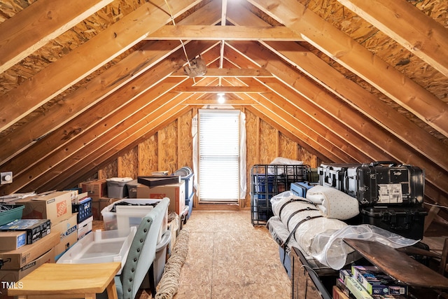 227 Paraggi Ct, Clayton, NC 27527 - view of attic