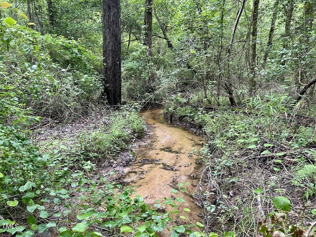 0 Wayside Ln, Bunnlevel, NC 28323