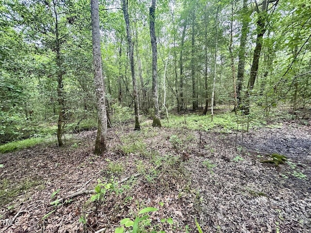 0 Wayside Ln, Bunnlevel, NC 28323