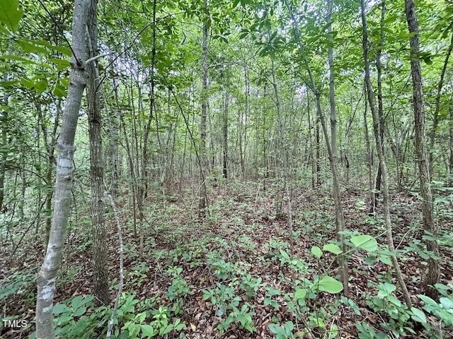 0 Wayside Ln, Bunnlevel, NC 28323
