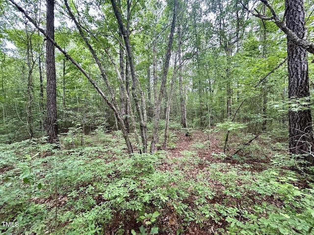 0 Wayside Ln, Bunnlevel, NC 28323