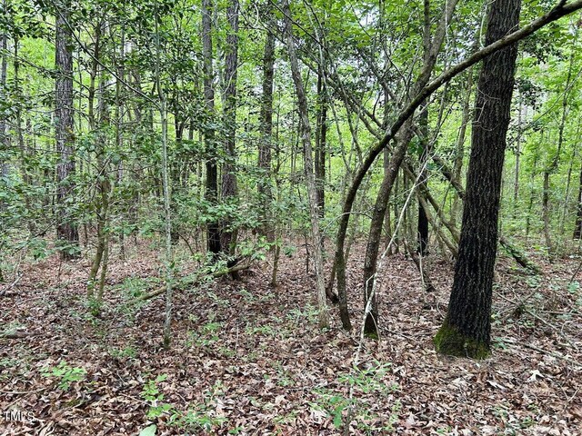 0 Wayside Ln, Bunnlevel, NC 28323