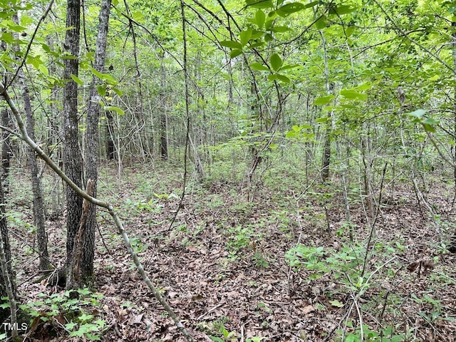0 Wayside Ln, Bunnlevel, NC 28323