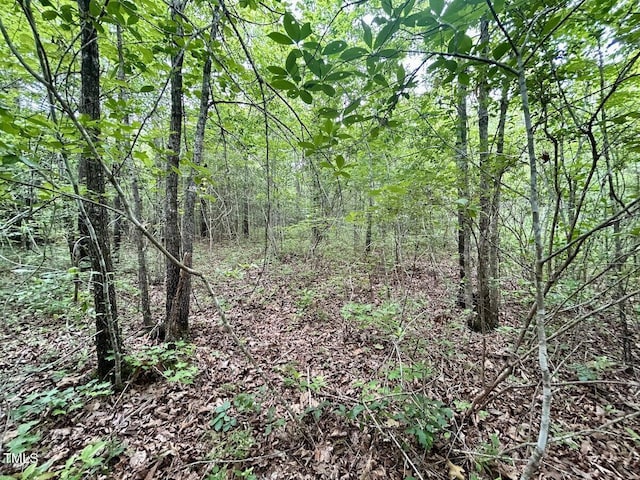 0 Wayside Ln, Bunnlevel, NC 28323