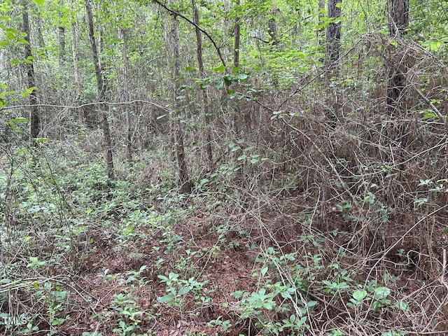 0 Wayside Ln, Bunnlevel, NC 28323