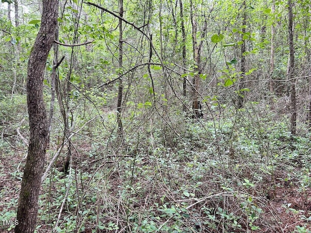 0 Wayside Ln, Bunnlevel, NC 28323