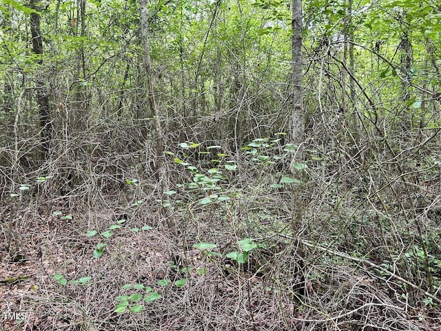 0 Wayside Ln, Bunnlevel, NC 28323