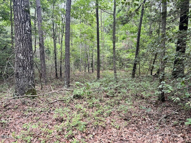 0 Wayside Ln, Bunnlevel, NC 28323