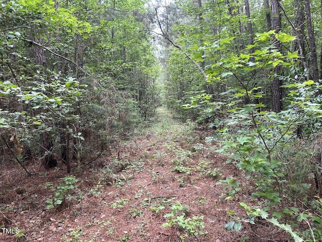 0 Wayside Ln, Bunnlevel, NC 28323