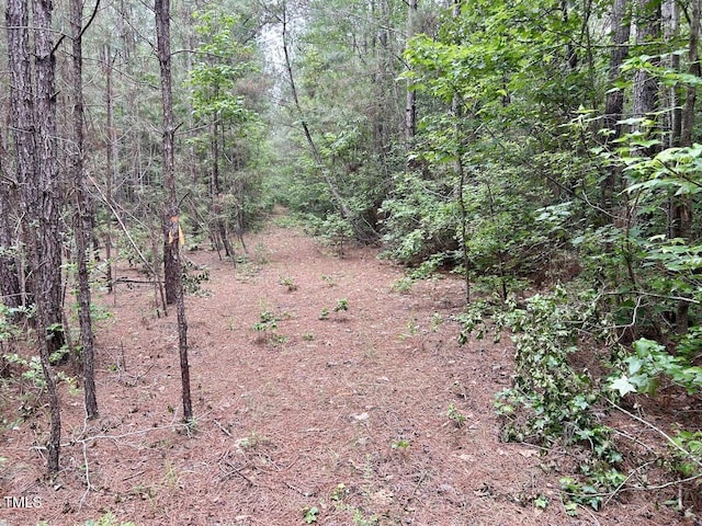 0 Wayside Ln, Bunnlevel, NC 28323