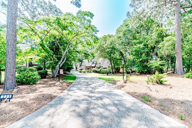 259 Golf Dr, Sanford, NC 27332 - view of community
