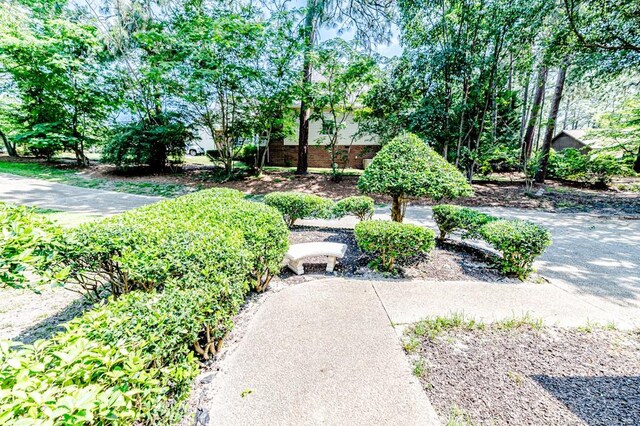 259 Golf Dr, Sanford, NC 27332 - view of yard