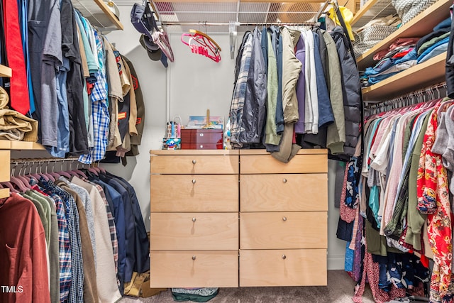 137 Clydes Point Way, Wendell, NC 27591 - walk in closet featuring carpet flooring