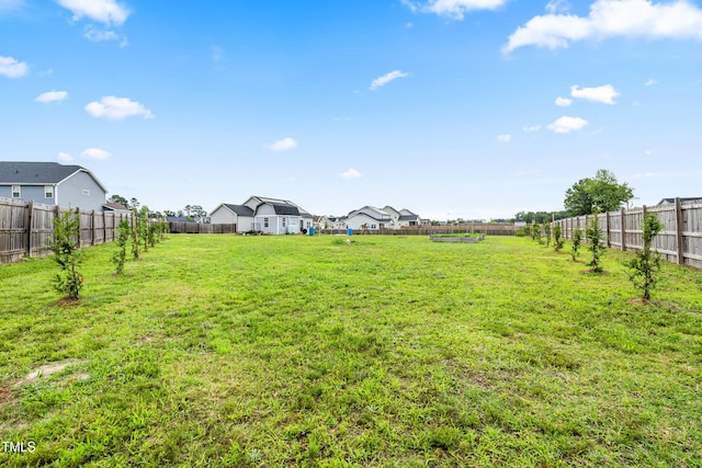 137 Clydes Point Way, Wendell, NC 27591 - view of yard