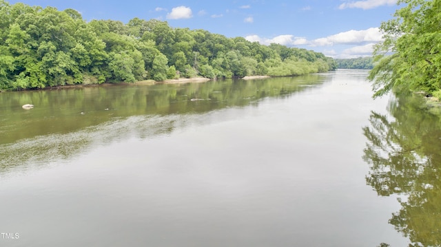 1164 Keith Hills Rd, Lillington, NC 27546 - water view with a forest