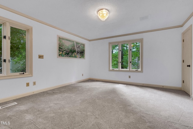 1164 Keith Hills Rd, Lillington, NC 27546 - spare room featuring carpet floors, ornamental molding, and baseboards