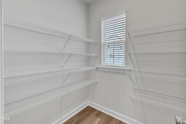 816 Lilyquist Way, Wake Forest, NC 27587 - photo 26