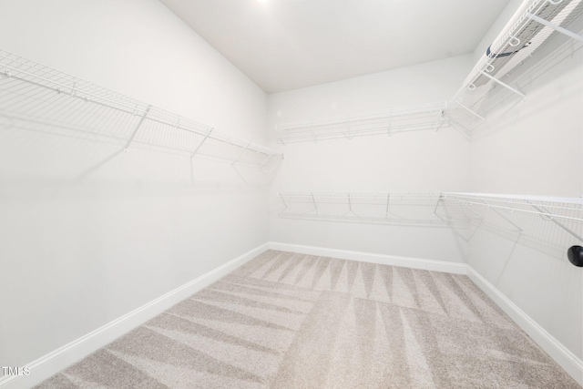 20 Scotland Dr, Youngsville, NC 27596 - walk in closet with carpet flooring