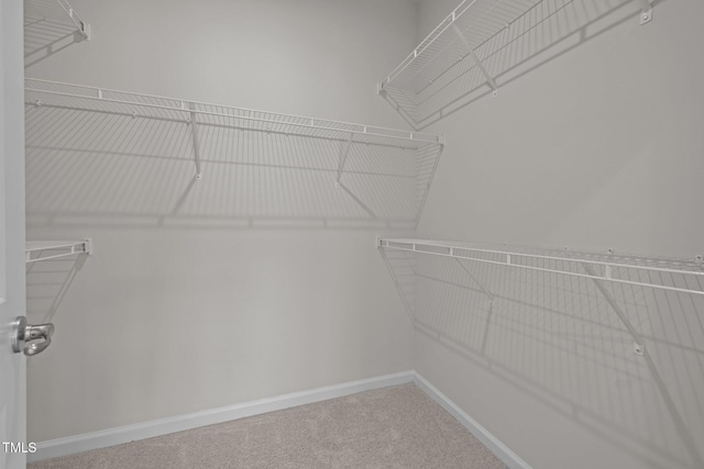 209 Timber Forest Ln, Cary, NC 27519 - photo 29