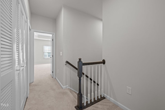 209 Timber Forest Ln, Cary, NC 27519 - photo 24