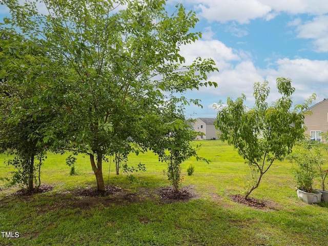 3515 Mountain Brook Cir, Durham, NC 27704 - view of green lawn