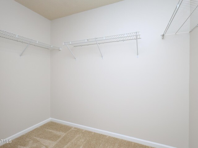 3515 Mountain Brook Cir, Durham, NC 27704 - walk in closet with light colored carpet