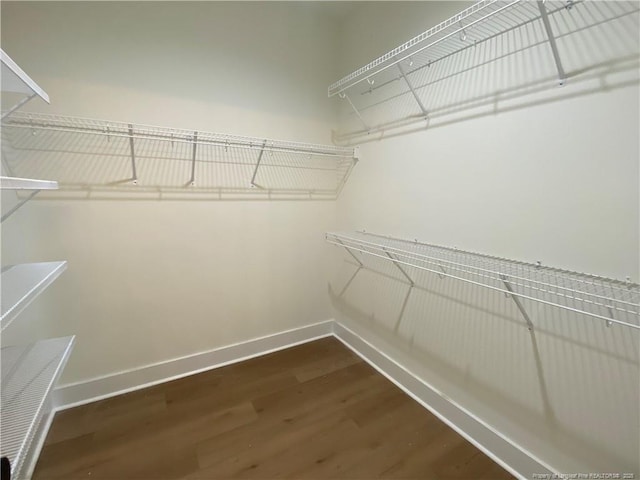 285 Delmore Rd, Autryville, NC 28318 - walk in closet with wood finished floors