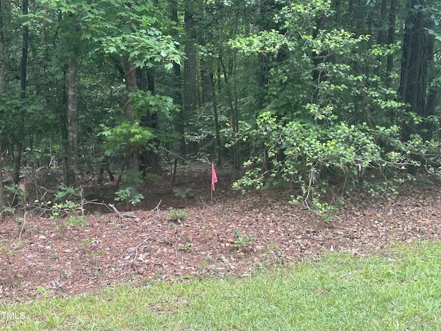 0 Round Fish Dr, Sanford, NC 27330 - photo 1