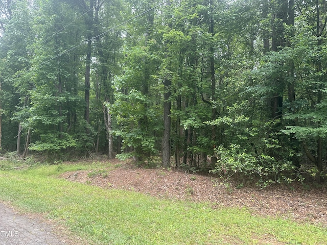 0 Round Fish Dr, Sanford, NC 27330 - photo 3