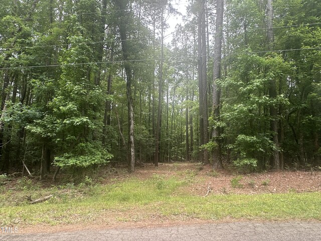 0 Round Fish Dr, Sanford, NC 27330 - photo 4