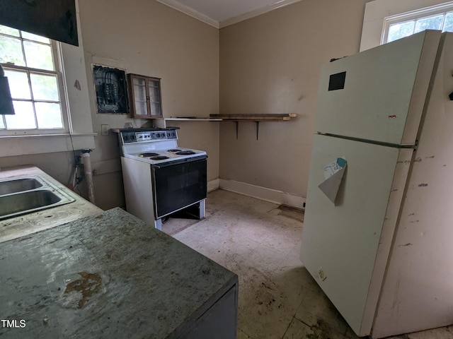 207 Bruton St W, Wilson, NC 27893 - kitchen featuring freestanding refrigerator, range with electric stovetop, crown molding, a sink, and baseboards